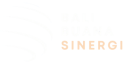 bali buana sinergi logo transpa